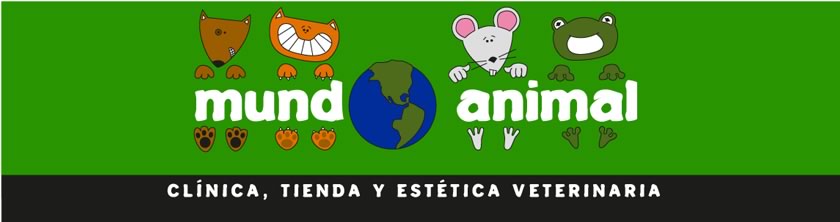 locales comerciales en renta cancun